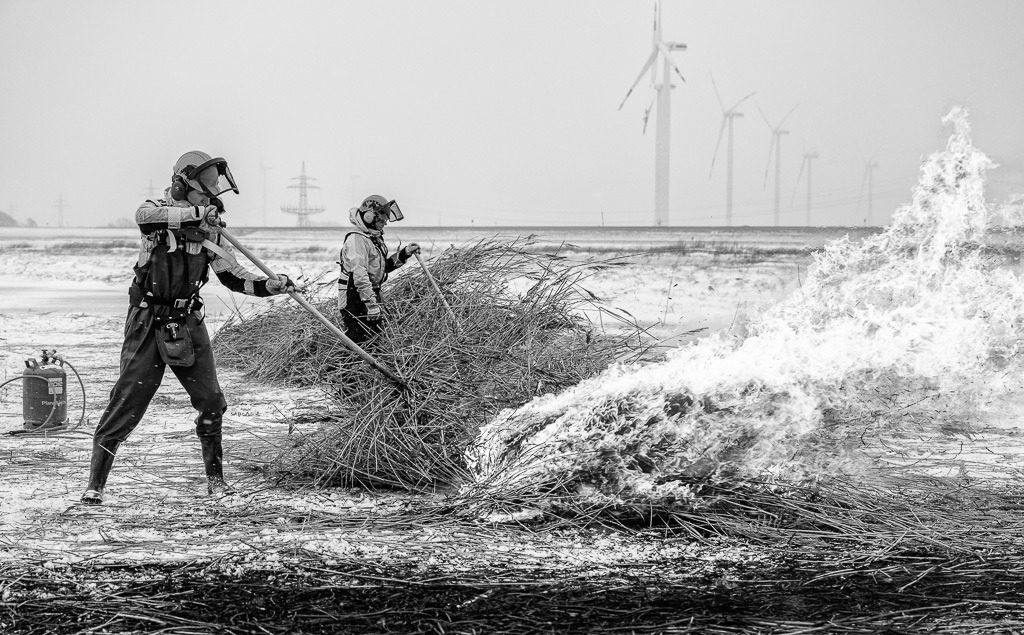 Mäharbeiten im Rickelsbüller Koog © Holger Rüdel | Der Online-Shop von Holger Rüdel. Ausgewählte Fotografien als FineArt-Prints bestellen: Bildreportagen, Landschaften, Wildlife, History, Infrarot-Motive in Schwarzweiß und Verschiedenes.  - Realisiert mit Pictrs.com