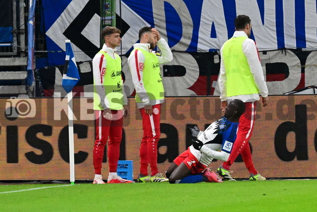 KBS Picture_HSV-Mainz05_017 | HSV Torjubel zum 3:0 Torschuetze ist Dompe Jean-Luc (HSV) ,Sportplatz :  Volksparkstadion, - Realisiert mit Pictrs.com