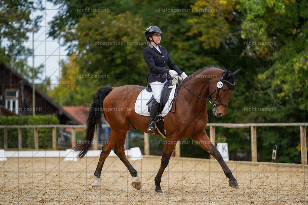 20231007-SN_00683 | Diessen am Ammersee, 2023, Dressur- und Springturnier, Reitsport, Turnierfotografie, Pferdebilder, Reitbilder, Turnierfotografen Bayern, Fotoagentur Herrmann
