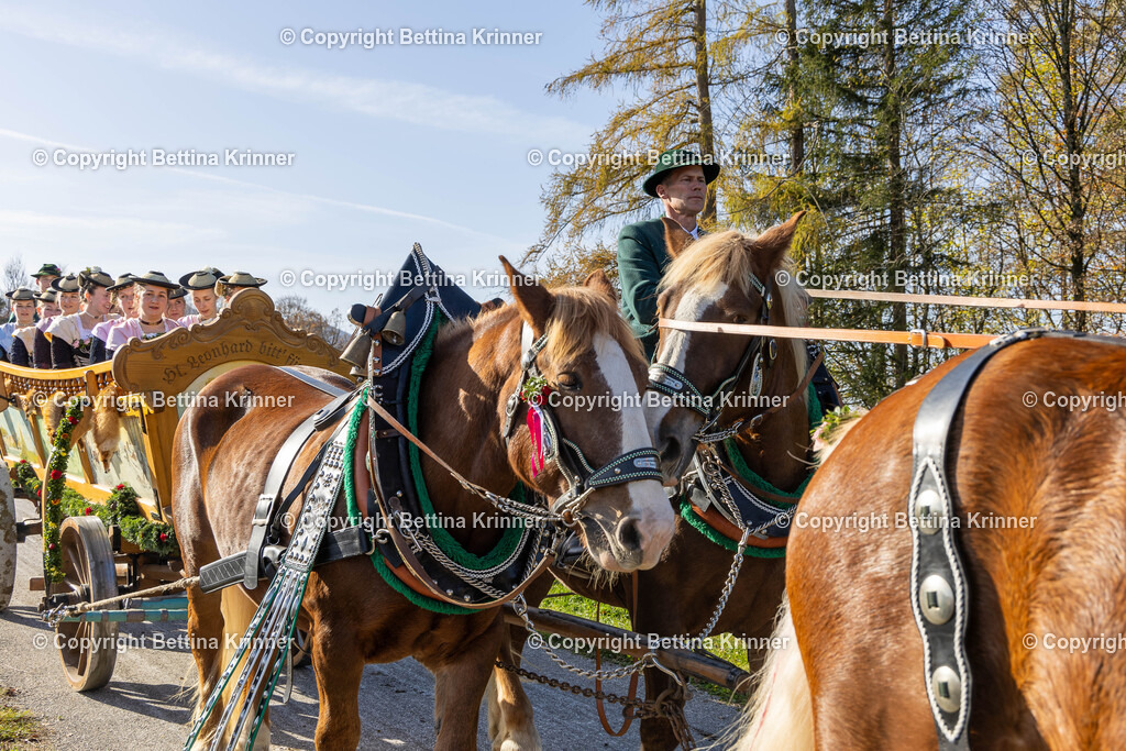 LBT24-1358 | foto-bettina-krinner - Realisiert mit Pictrs.com