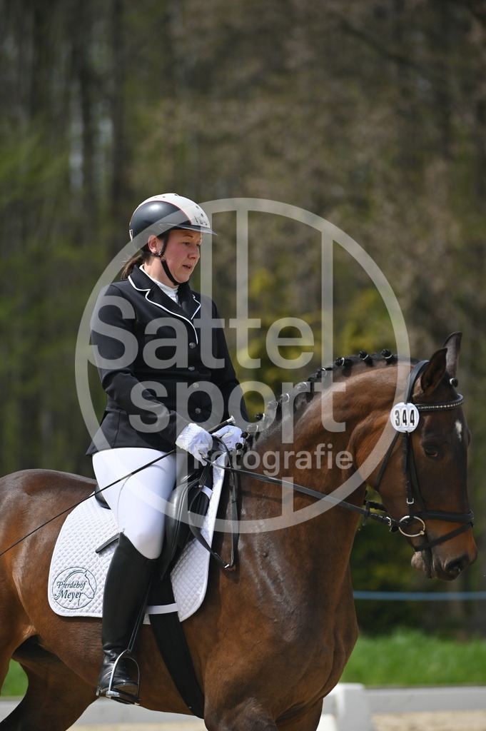 DSC_3344 | sattelsport - Realisiert mit Pictrs.com