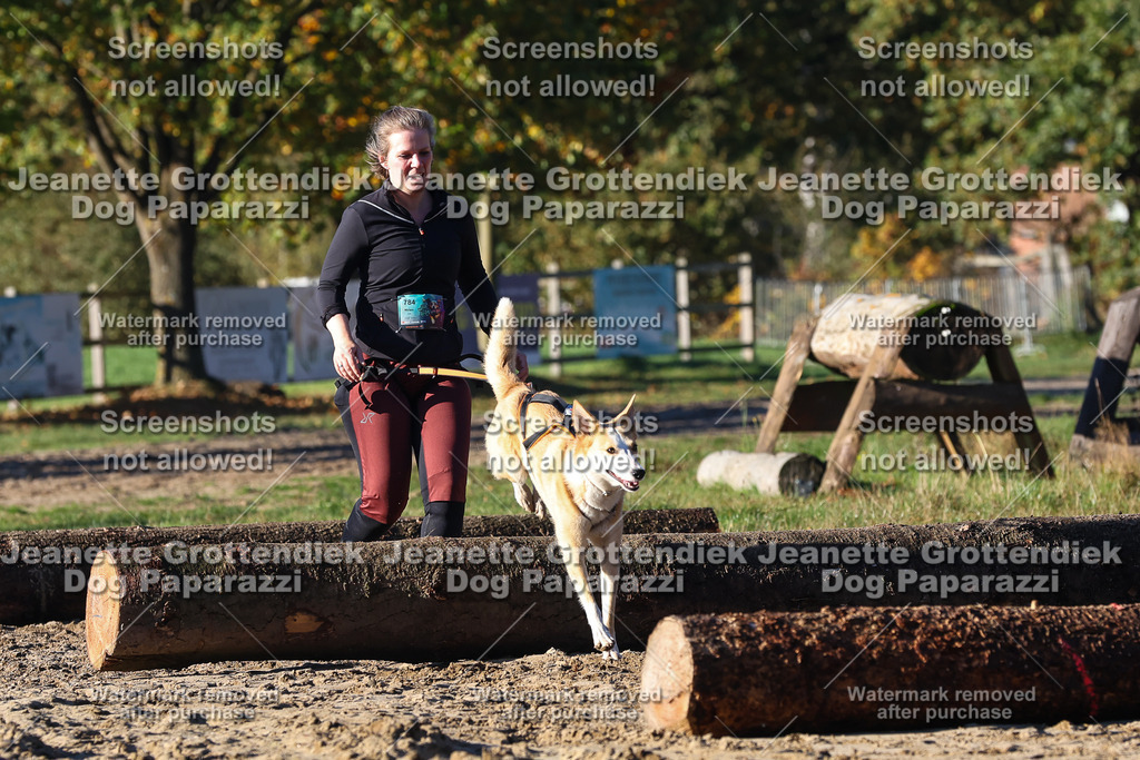 Dog Paparazzi - Strongdog 10-25-1309 | Dog Paparazzi Jeanette Grottendiek Fotografie & Videografie - Realisiert mit Pictrs.com