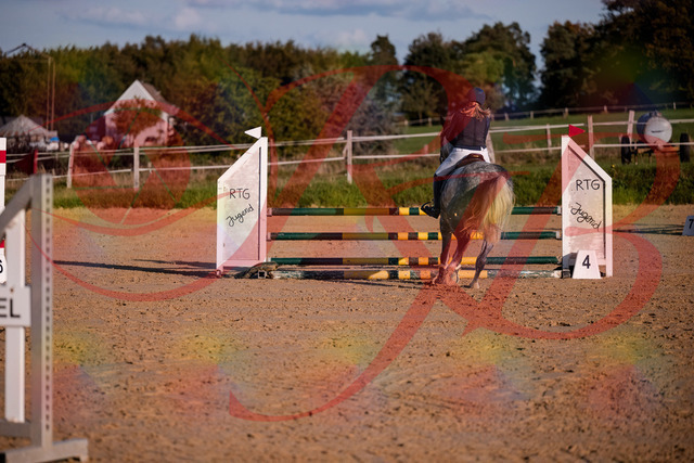 2026_10_03_Siefer-Hof_171404_Z81_11278266 | Professionelle Reitsport-, Turnier- und Eventfotografie von Robert Broda. Galerien mit ausgewählten und bearbeiteten Bildern direkt online ansehen und bestellen.