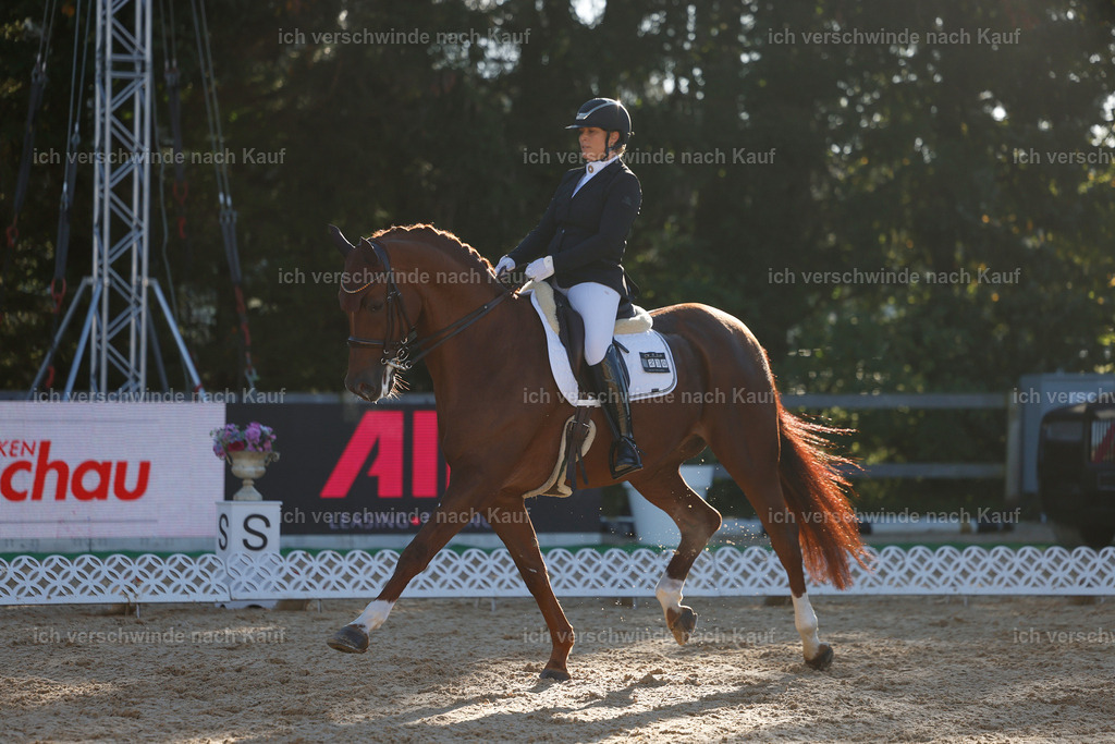 09_1-230-DRESSUR  S_  -StoibPH-5544 | working equitationturnier fotograf videograf stoibphotography marixx film working equitation deutschland reitsport turnierfotografie eventfotografie equestrian events