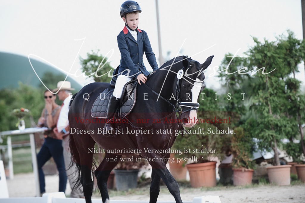 DSC_9970 | Pferde- und Turnierfotografie in Westsachsen. Pferdeportraits, Auftragszeichnungen und intuitive Kunst.