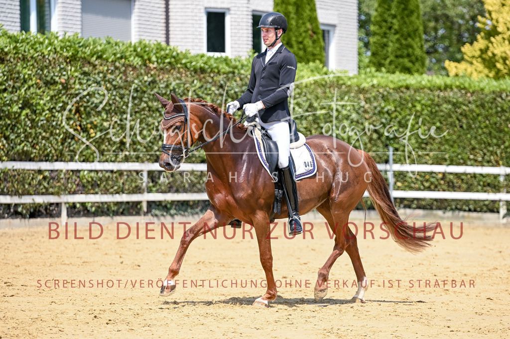 Schugtsche-Aluta25-49.Dressurpferdeprf.A-220 | Schugtsche Fotografie - Realisiert mit Pictrs.com