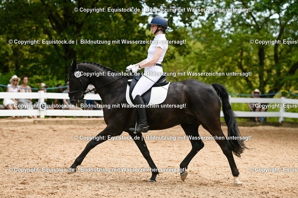 20230715_05_Dressurprüfung Kl.A++_0269 | equistock