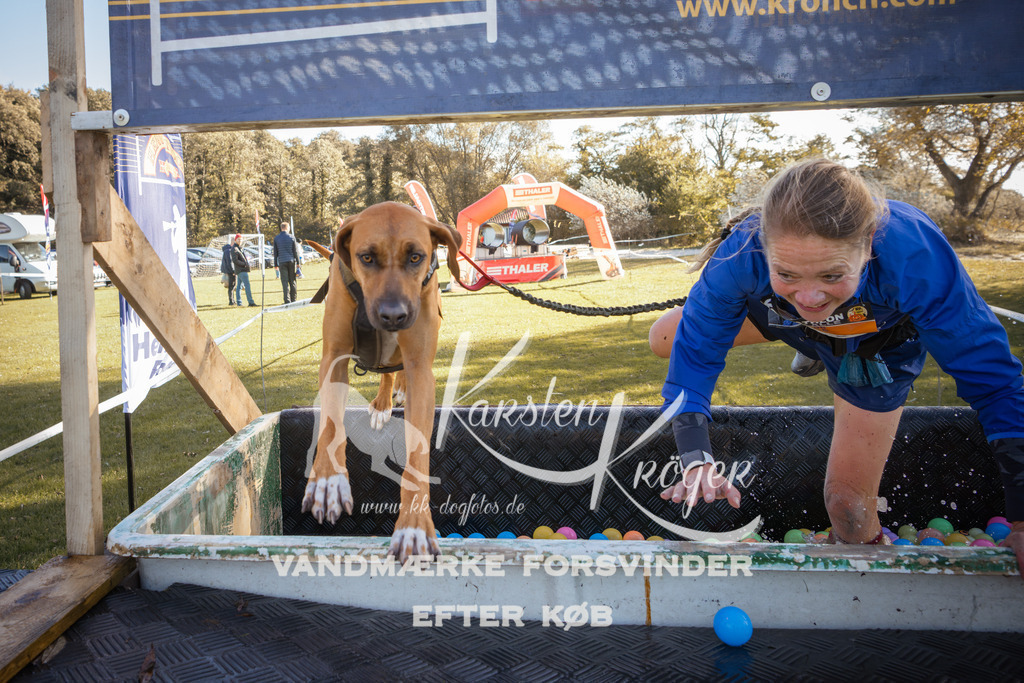 1228_ZZ96534-2 | kk-dogfotos