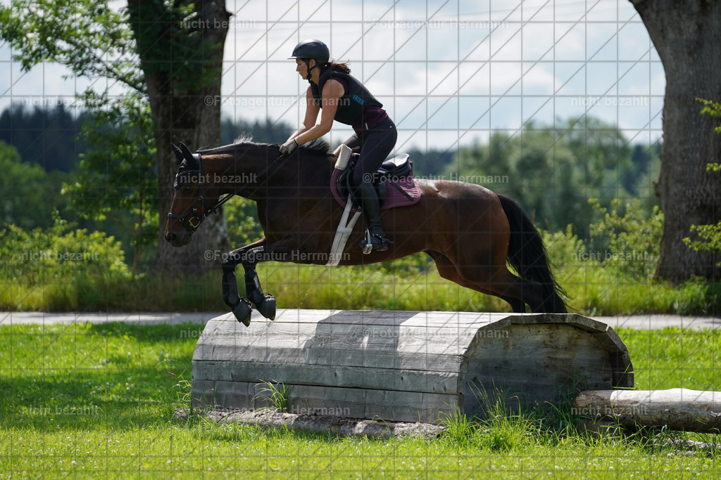 20240622-FAH07759 | Turnierfotografen Bayern, Reitsportbilder aus dem Geländekurs mit Felix Etzel auf dem Gut Waitzacker 2024