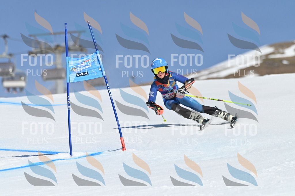 BGV_8110 | holidayphoto