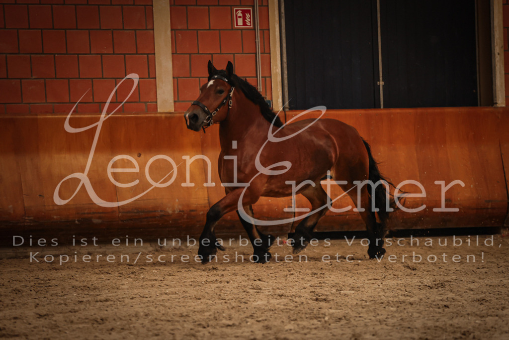 SaFL00155 | Leoni Ertmer Photography - Realisiert mit Pictrs.com