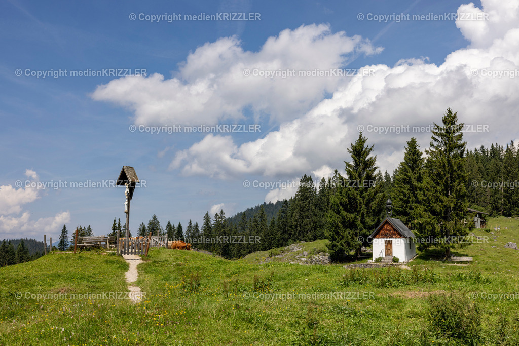 _J3A5480 | medienkrizzler - Realisiert mit Pictrs.com