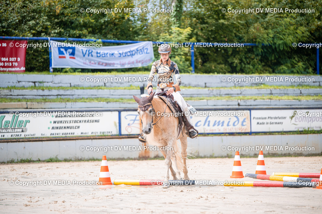 ZS2_3887 | dv-media-shop - Realisiert mit Pictrs.com