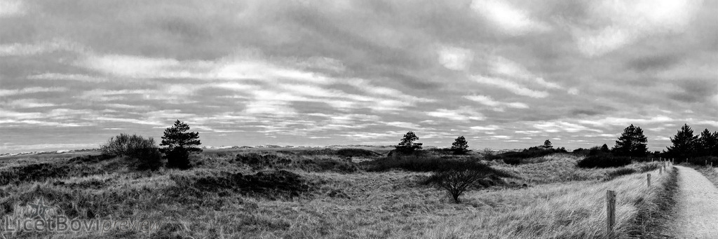 Ein Wintertag an der Nordsee | In den Dünen bei Sankt Peter-Ording. - Realisiert mit Pictrs.com