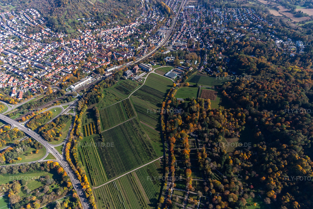 Luftbild: Landwirtschaftliches Technologiezentrum Augustenberg im Ortsteil Durlach in Karlsruhe im Bundesland Baden-Württemberg in Deutschland. Foto: IMG_129867.jpg vom 24.10.2021 durch Werner Riehm/FLY-FOTO.de