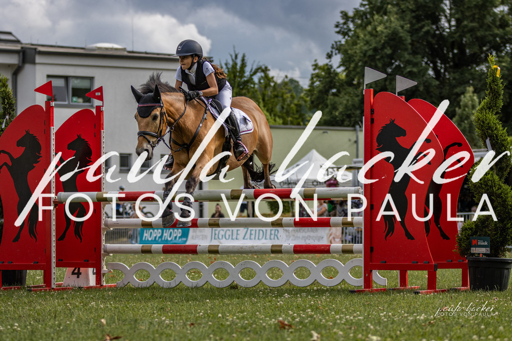 IMG_7602 | Erleben Sie dynamische Sport- und emotionale Tierfotografie in Süddeutschland mit Fotos von Paula. Spezialisiert auf Pferde- und Hundefotografie sowie Sportevents. Kontaktieren Sie mich für einzigartige und ausdrucksstarke Bilder Ihrer besonderen Momente. - Realisiert mit Pictrs.com