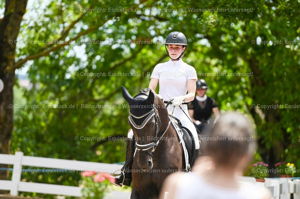 20230715_05_Dressurprüfung Kl.A++_0338 | equistock