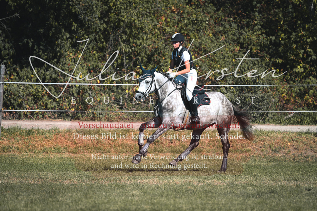 DSC_7835 | Pferde- und Turnierfotografie in Westsachsen. Pferdeportraits, Auftragszeichnungen und intuitive Kunst.