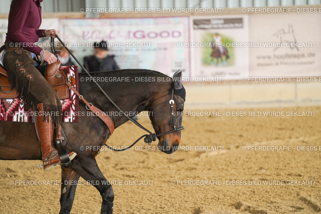 DSC03692 | Pferdegrafie