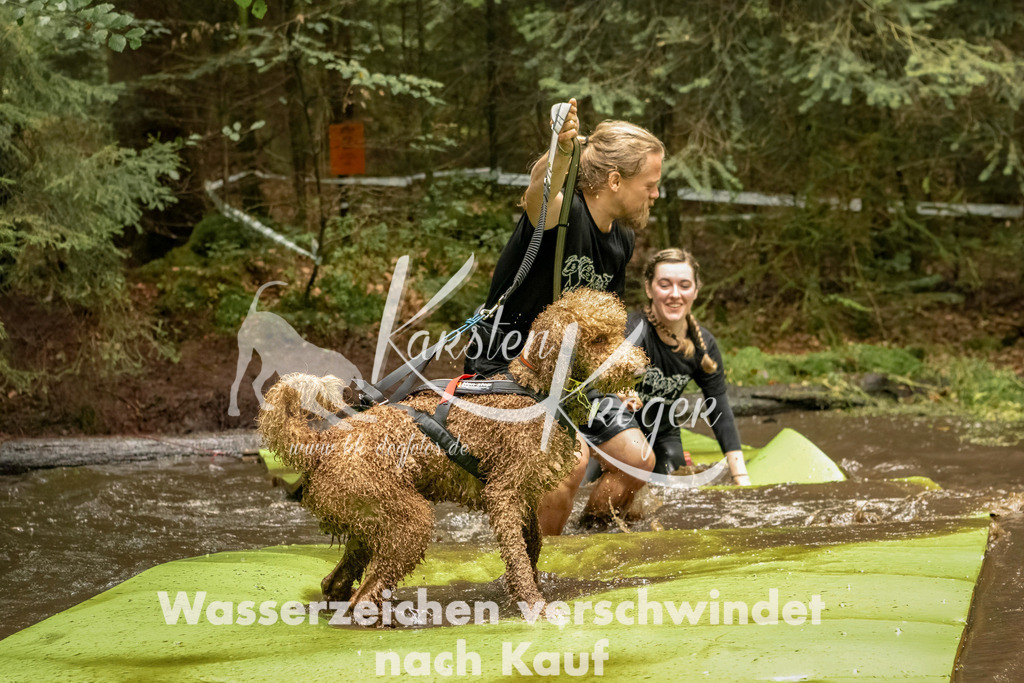 1217_ZZ93677-Bearbeitet | kk-dogfotos