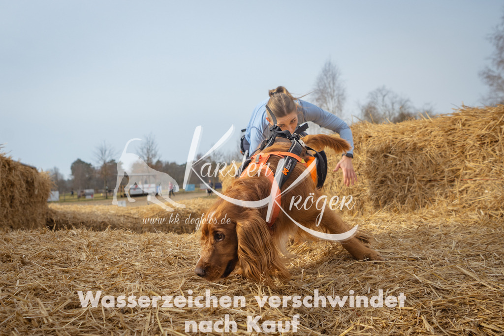 1021_ZZ94495 | kk-dogfotos