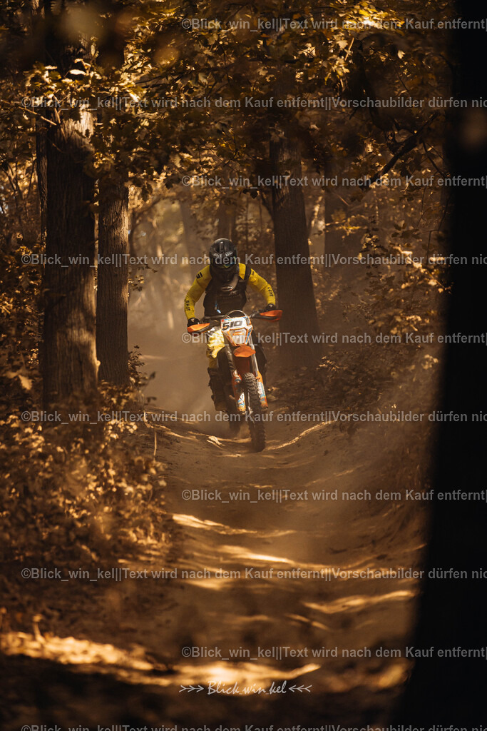 E68A7968 | blick_win_kel