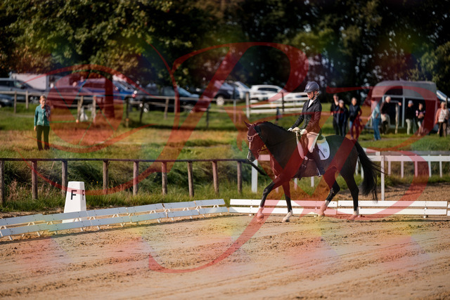 2026_10_03_Siefer-Hof_113246_Z63_19124168 | Professionelle Reitsport-, Turnier- und Eventfotografie von Robert Broda. Galerien mit ausgewählten und bearbeiteten Bildern direkt online ansehen und bestellen.