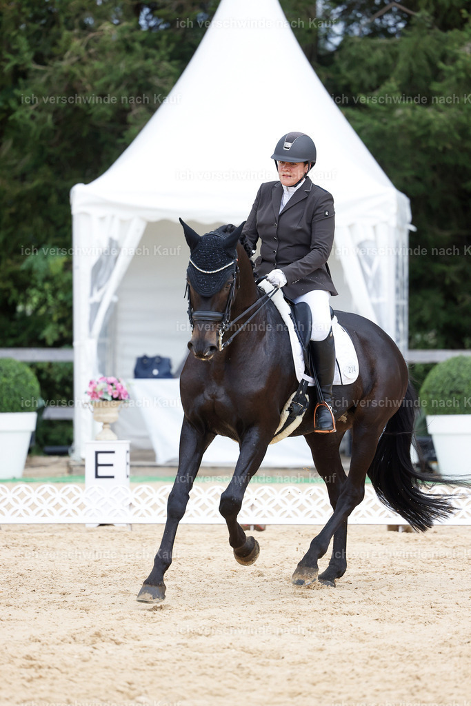 04_2-214-Dressur M__ -StoibPH-2943 | working equitationturnier fotograf videograf stoibphotography marixx film working equitation deutschland reitsport turnierfotografie eventfotografie equestrian events