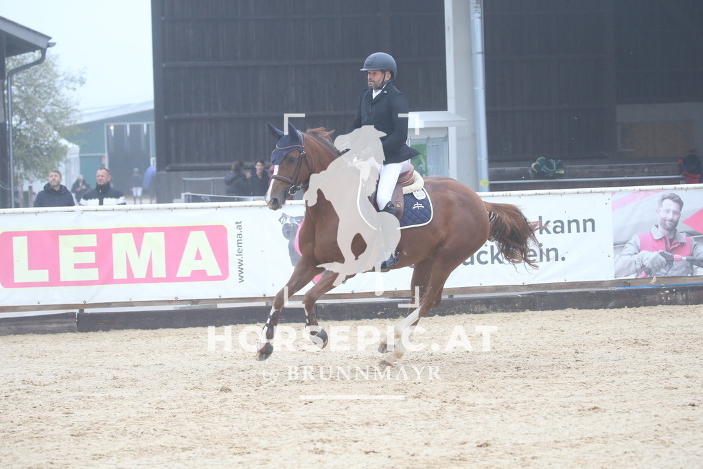 DL2Q2976 | Willkommen bei Brunnmayr - Design & Fotografie – Ihrem Spezialisten für Reitturniere und Pferdeveranstaltungen in Oberösterreich, Salzburg und Bayern! Seit über 17 Jahren sind wir leidenschaftlich dabei.