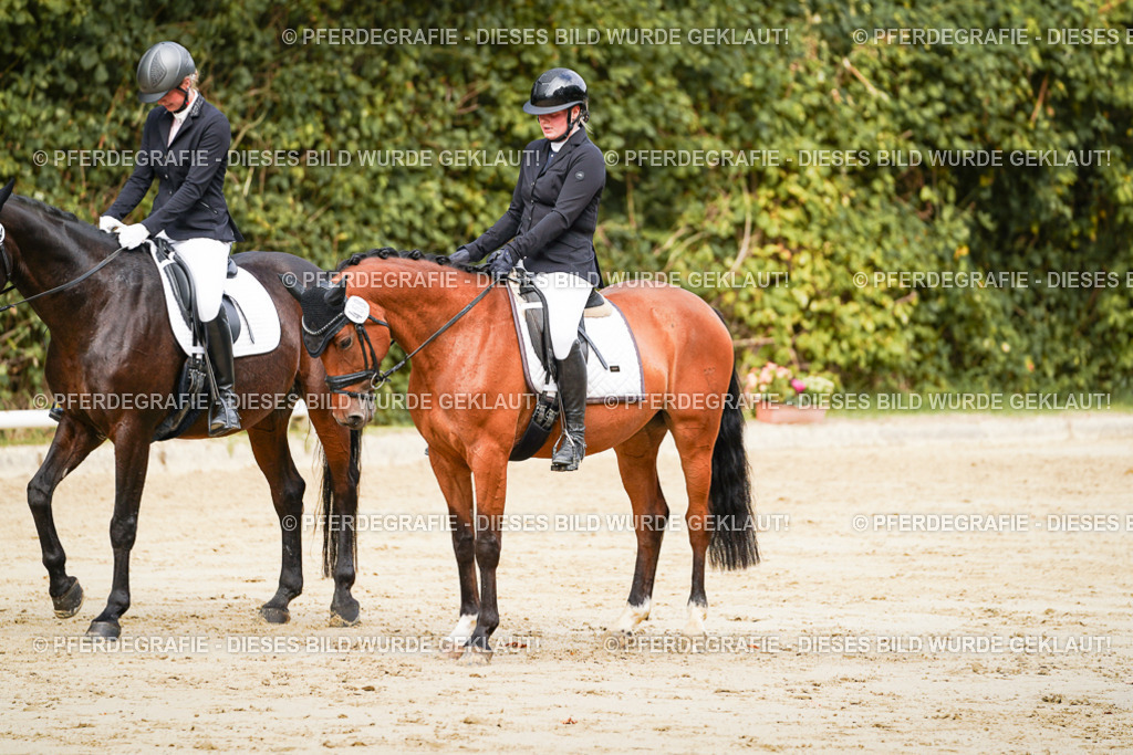 DSC01778 | Pferdegrafie