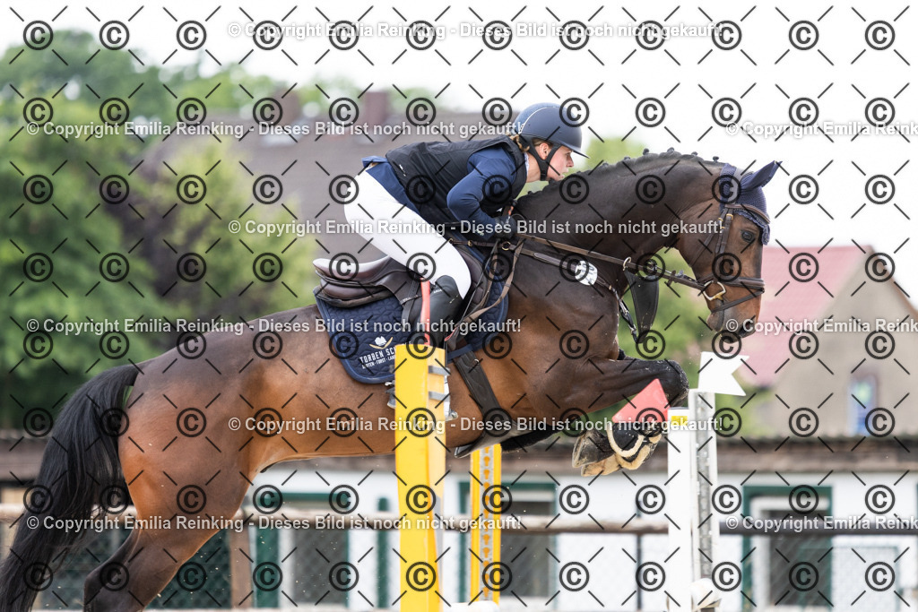 CL5A5028 | Emilia Reinking Fotografie - Realisiert mit Pictrs.com