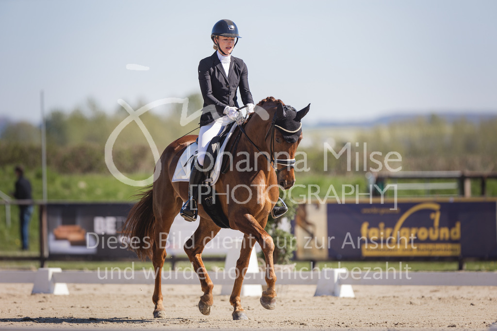 220418_Dressurpferde-L-114 | Frühlingsfest der Pferde
Herford
18.April 2022
Dressurpferdeprfg. Kl.L DL2