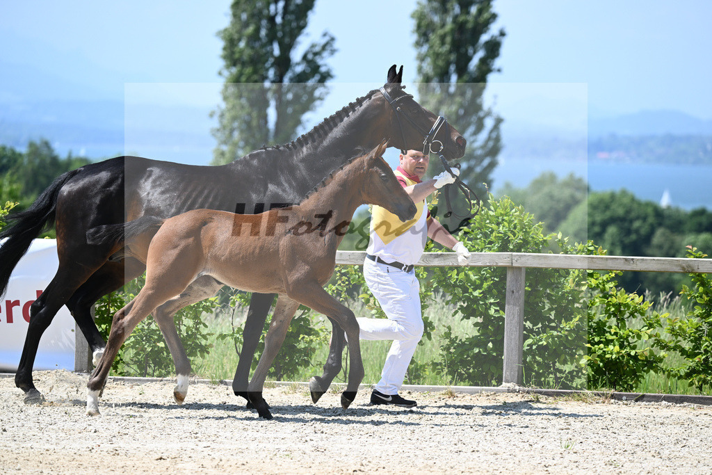 Kat-Nr. 6 SF Escolar_Knott_15230352 | hf-fotografie - Realizzato con Pictrs.com