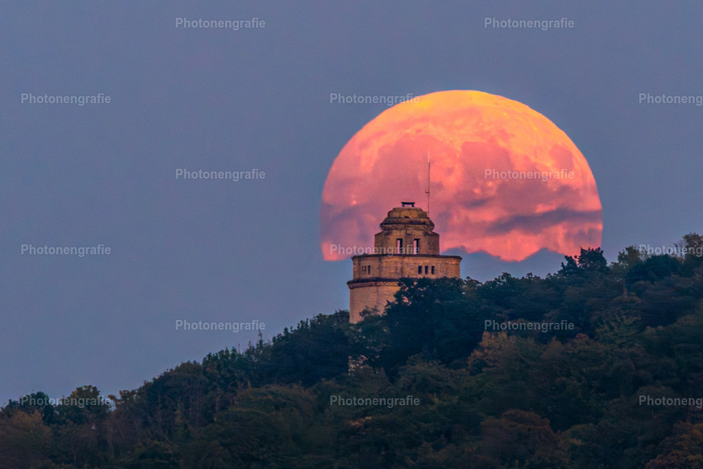 Ingelheim-19 | Photonengrafie´s Shop - Realisiert mit Pictrs.com