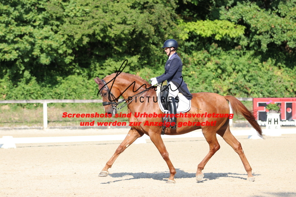 IMG_8915 | lmwpictures - Realisiert mit Pictrs.com