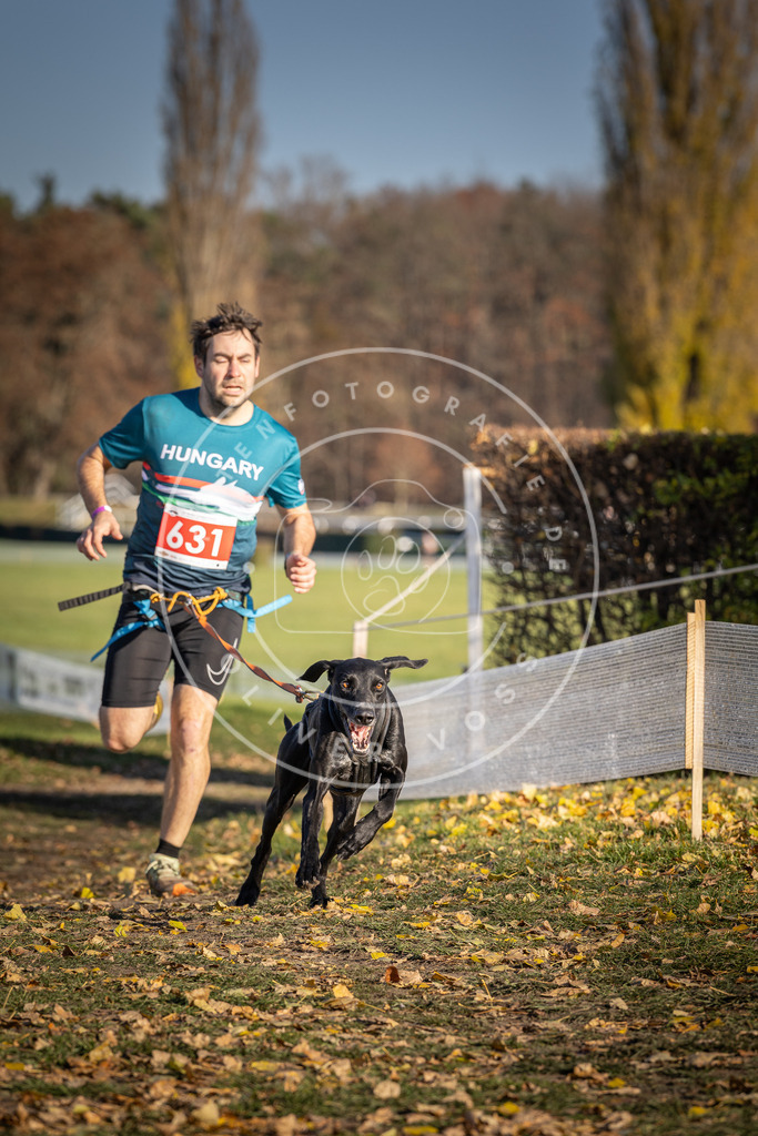 CaniXpix_DV3A0131 | Hundefotografie, Tierfotograf, Pfotenfotografie, Fotoshooting Hund, Hunde Portrait, Hundesport, Hundeportraits, Heideshooting, Hunde, Sportfotograf, Hundefotograf, Turnierhundsport, THS,  - Realisiert mit Pictrs.com
