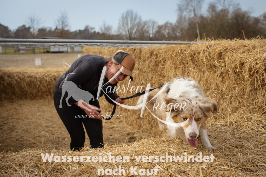 1138_ZZ94802 | kk-dogfotos