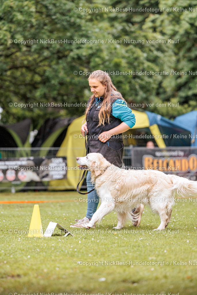 RO-Blumenthal-2026-Nickbest-Hundefotografie-0594 | Dein Hund! Dein Moment! Deine Erinnerungen! Hundefotografie in Bremen Blumenthal. Ich fange die besonderen Momente deines Vierbeiners ein – ob Indoor mit Blitzanlage oder in der freien Natur. Sicher dir dein Moment und dein Termin für eure Erinnerungen.