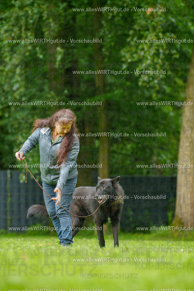 @allesWIRTHgut_Tierfotografie - www.allesWIRTHgut.de - 135443-7R500171 | Professionelle Tierfotografie in Mönchengladbach von Daniel Wirth (allesWIRTHgut). Liebevolle & natürliche Bilder von Hunden & Katzen für unvergessliche Erinnerungen.