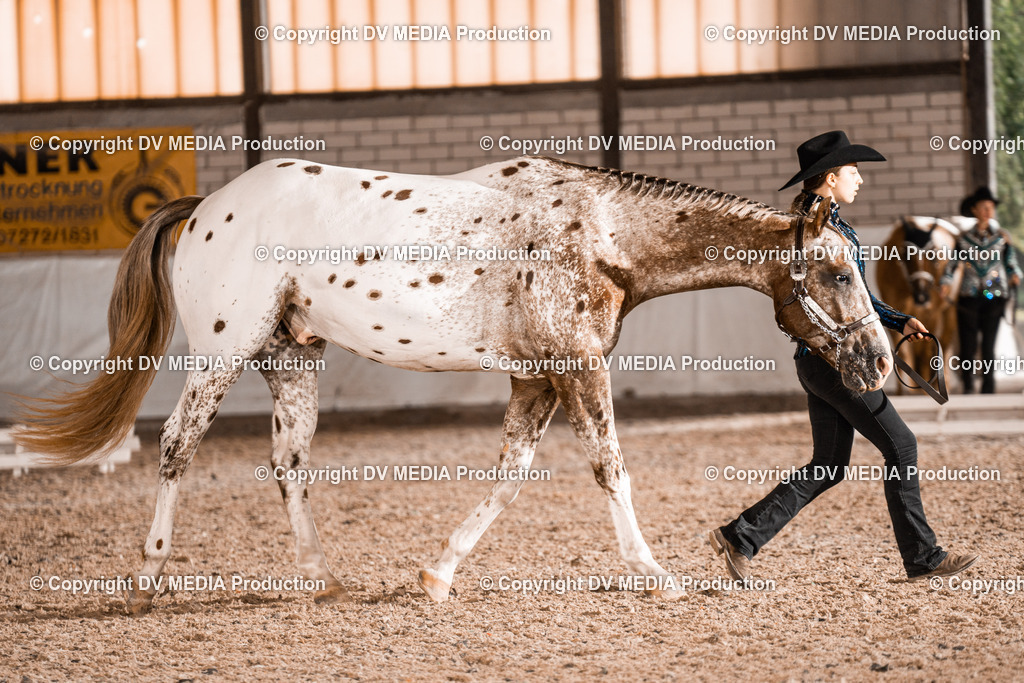 ZH200089 | dv-media-shop - Realisiert mit Pictrs.com