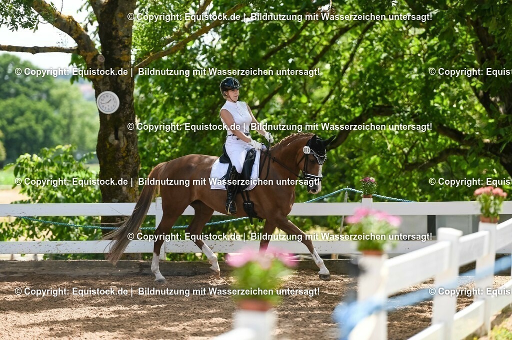 20230716_03_Dressurprfg. Kl.L - Tr._0494 | equistock