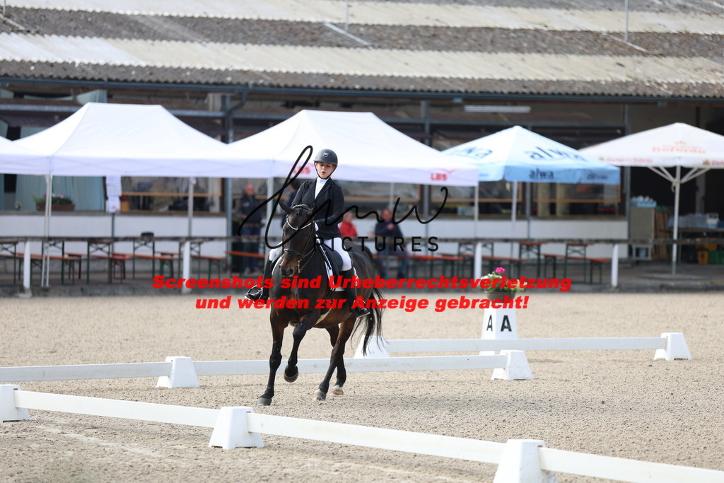 A40A3155 | lmwpictures - Realisiert mit Pictrs.com