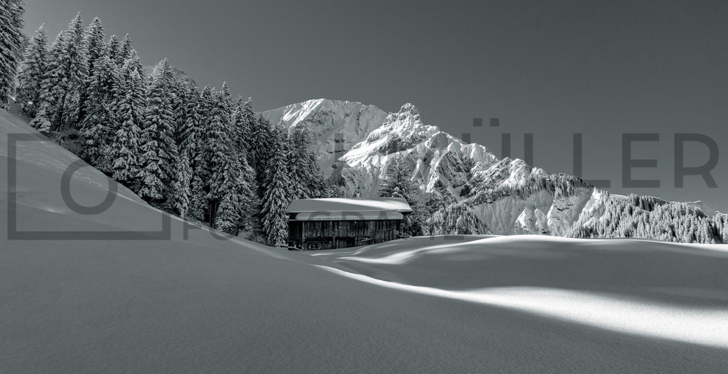 DSC03418 | Tinu Müller Fotografie- Bildershop - Realisiert mit Pictrs.com