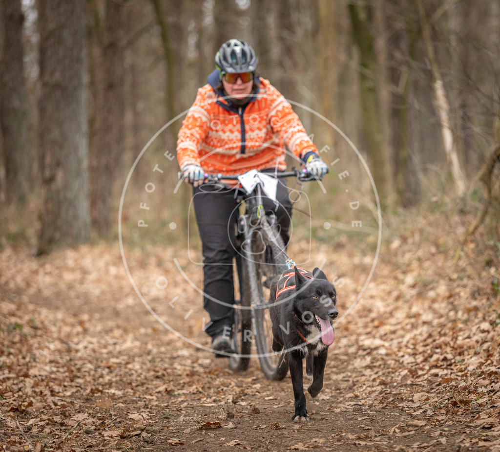 Pfotenfotografie_DV3A0350 | Hundefotografie, Tierfotograf, Pfotenfotografie, Fotoshooting Hund, Hunde Portrait, Hundesport, Hundeportraits, Heideshooting, Hunde, Sportfotograf, Hundefotograf, Turnierhundsport, THS,  - Realisiert mit Pictrs.com