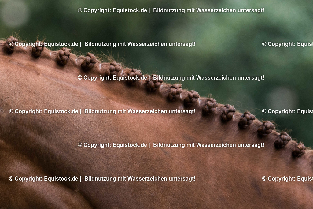 TS_20170501_Eingeflochtene_M__hne_0001 | Foto: Thomas Hartig