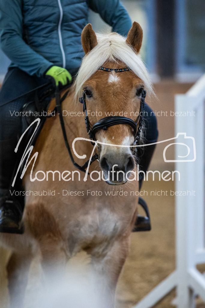 LehrgSth24-014 | MomenTaufnahmen Pferdesportfotos