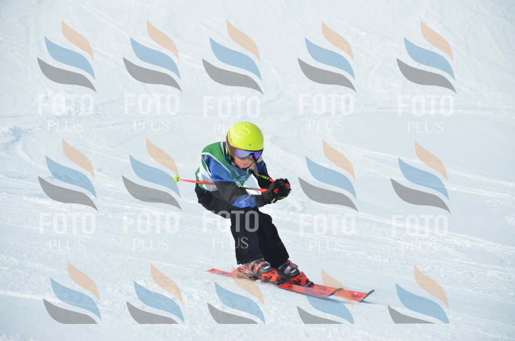 D8683 | holidayphoto