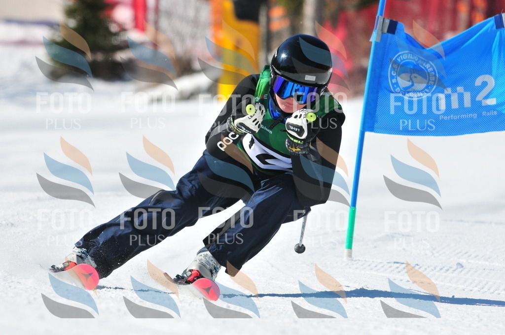 C3770 | holidayphoto