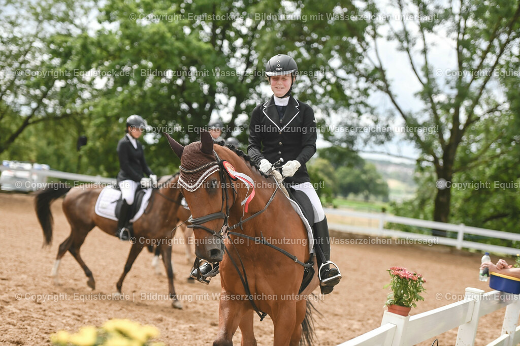 20230716_10-1_Reiter-WB Schritt - Trab - Galopp_0263 | equistock