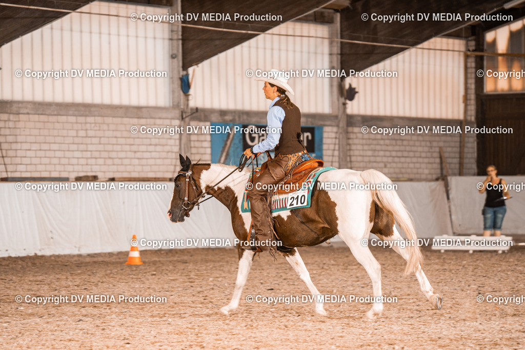 ZH100635 | dv-media-shop - Realisiert mit Pictrs.com